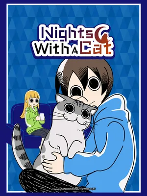 Nights with a cat Nights with a cat